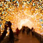 Macon Christmas Light Extravaganza