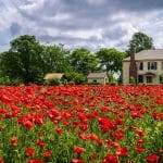 JoJo’s Listings Hub: Homes That Tell a Story