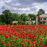 JoJo’s Listings Hub: Homes That Tell a Story