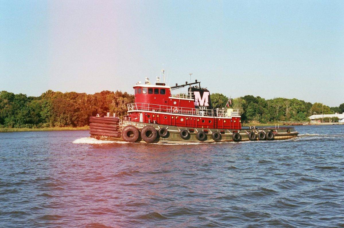 Savannah