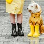 What Is Flood Insurance?