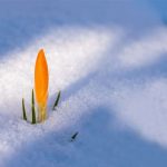 Best Month to Buy & Sell Real Estate