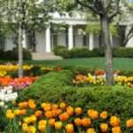 Middle Georgia Spring Sales