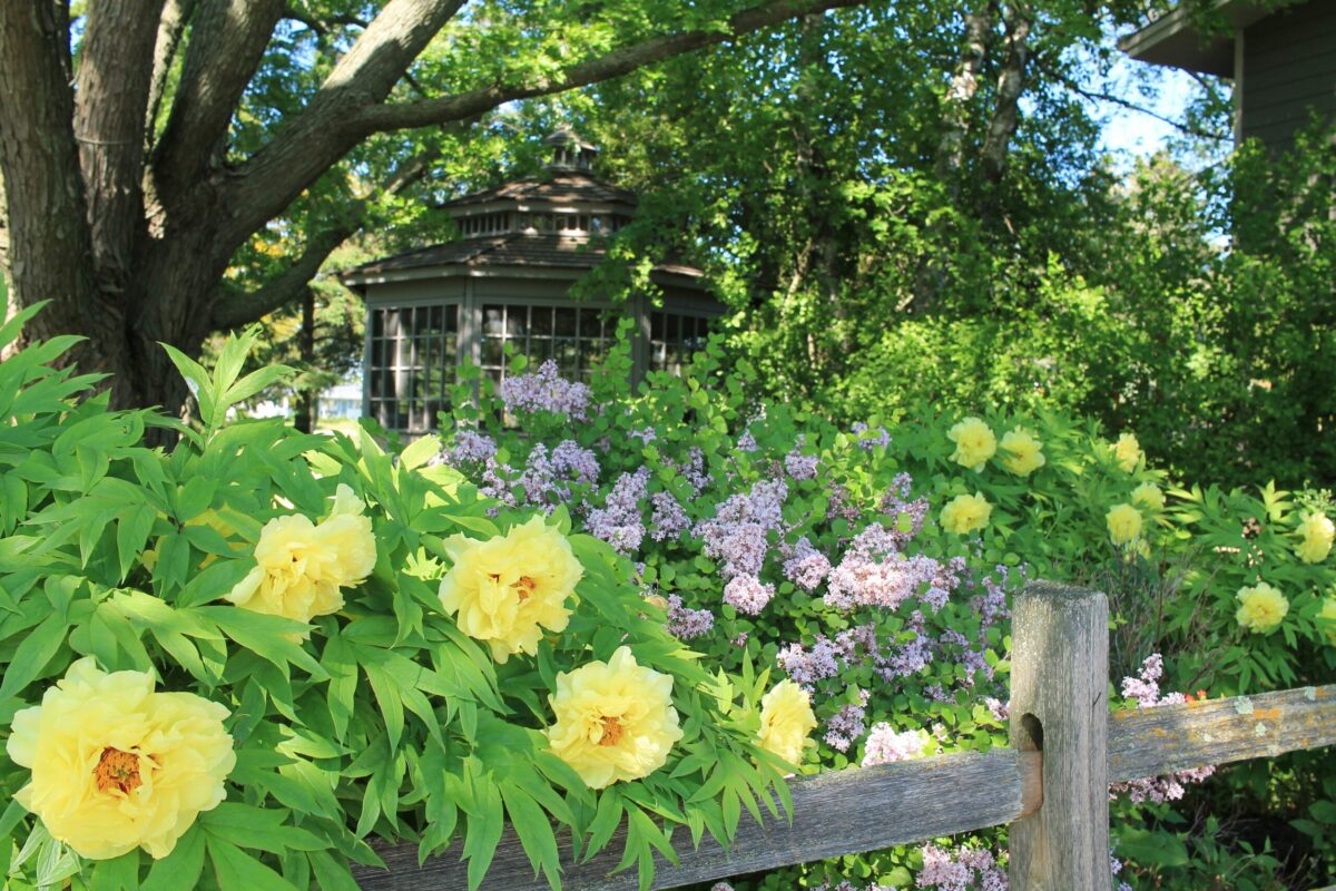 Summer and Macon Real Estate - Joanna "JoJo" Jones Beautiful landscaping and blooming flowers enhancing a home's curb appeal during summer in Middle Georgia